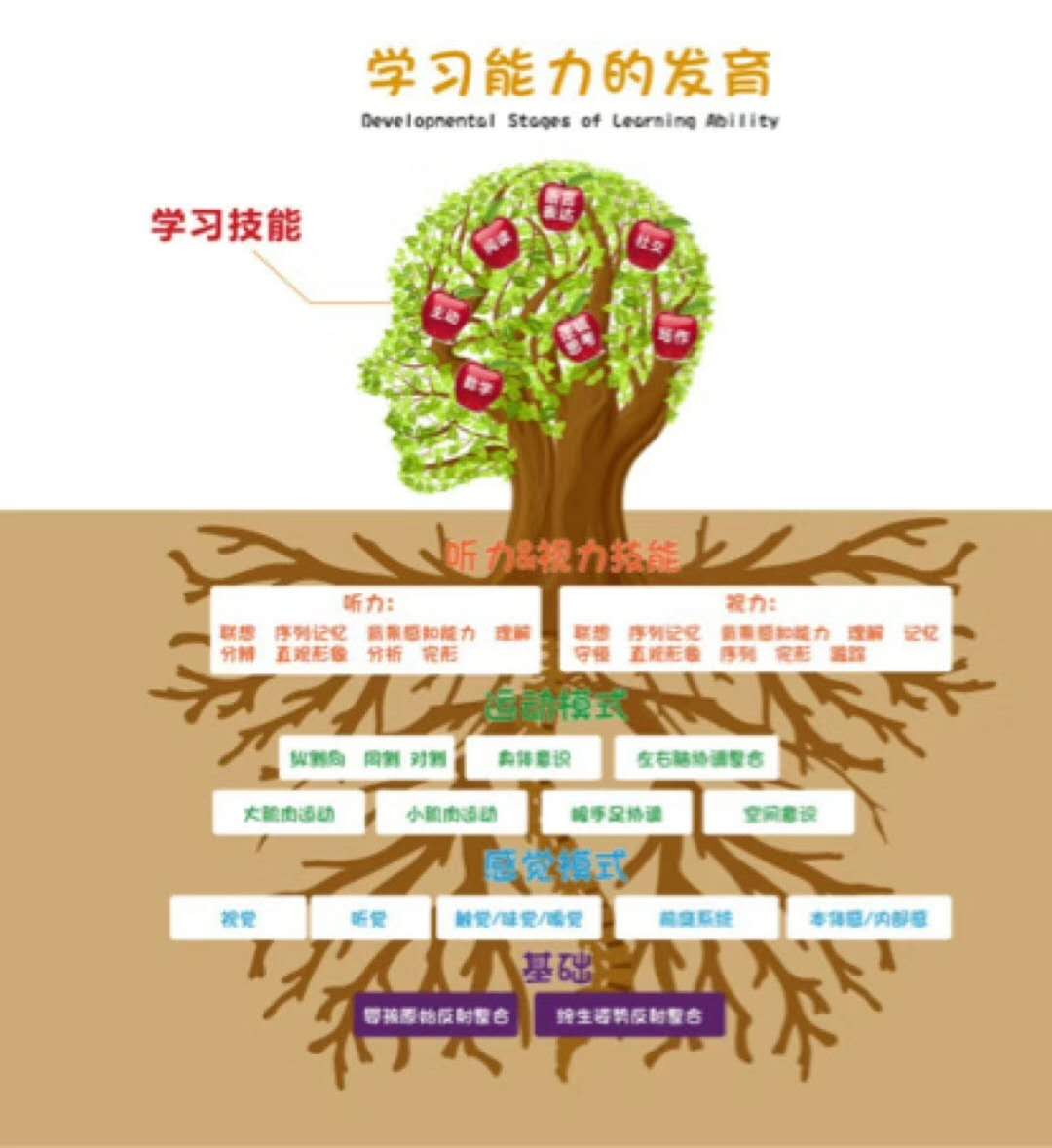 韵律运动