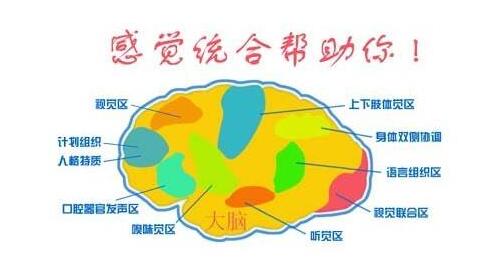 感统训练的意义